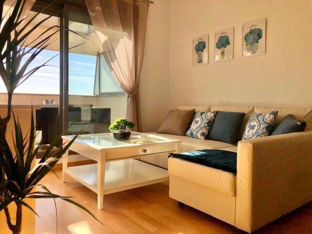 Gatu Premium Atico Parra, Parking, Piscina Comun, Terraza, Wifi , " Preferente Mayores De 25 Anos Y Familias " 엘푸에르토데산타마리아 외부 사진